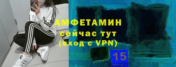 крисы Белокуриха