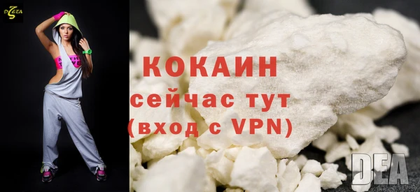 стаф Богданович