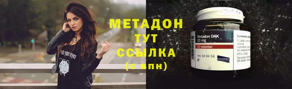 стаф Богданович