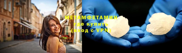 стаф Богданович