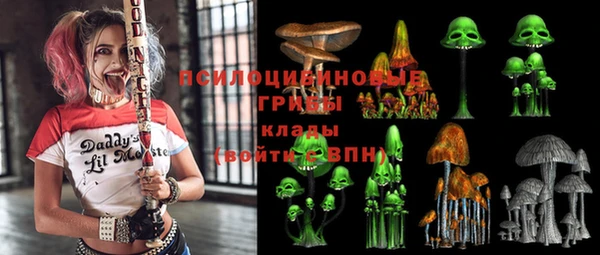 стаф Богданович