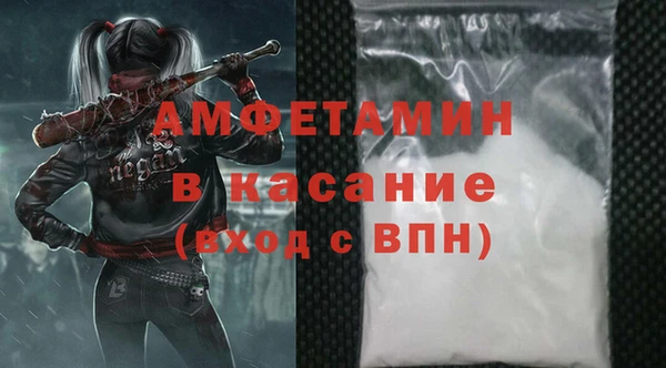 стаф Богданович