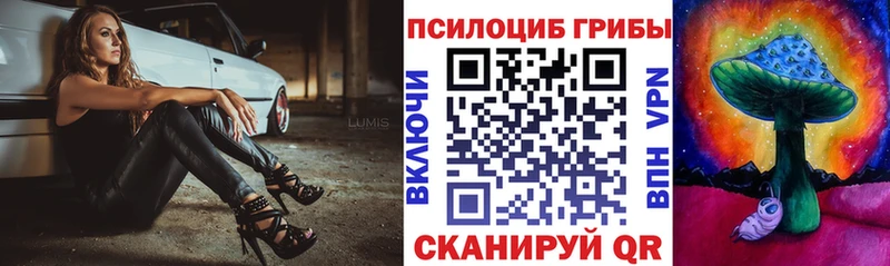 Галлюциногенные грибы Cubensis Искитим