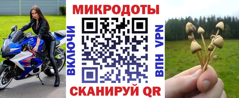 Купить закладки  Искитим  Галлюциногенные грибы Magic Shrooms 