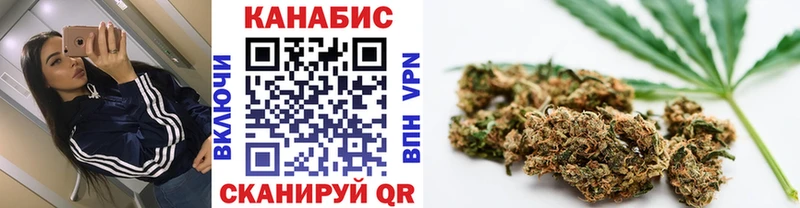 Бошки Шишки сатива  Купить где  Искитим 